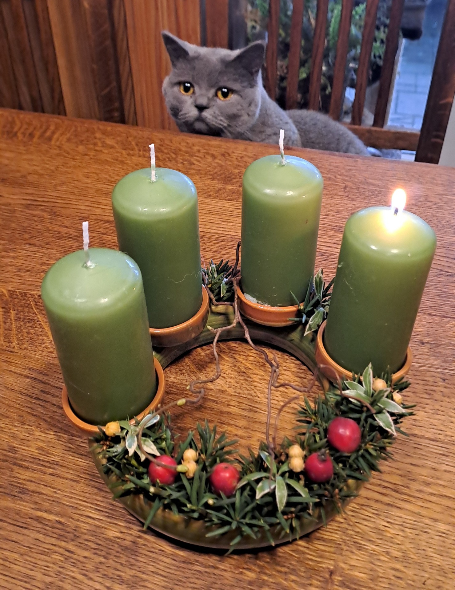 Krásný adventní čas Vám všem!